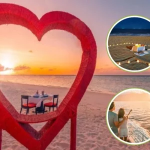 A Romantic Guide to Celebrate Valentine's Day in Goa